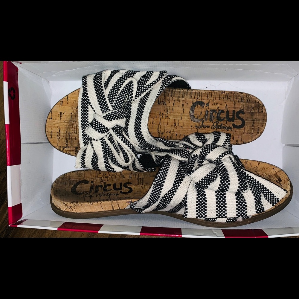 Circus Sandler/slide